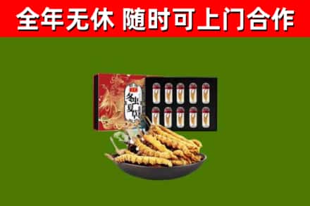 海安烟酒回收冬虫夏草礼盒.jpg